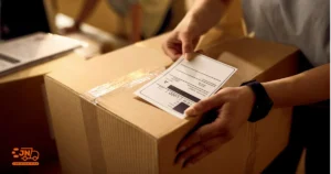 Cómo Dominar Mercado Envíos Flex en Argentina